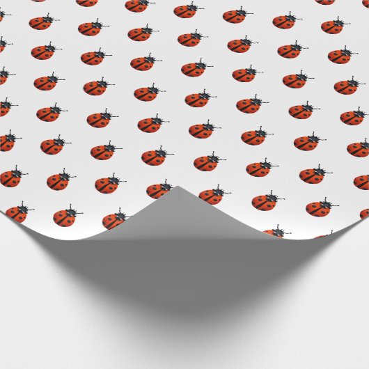 Papier Cadeau Ladybugs (Coin)