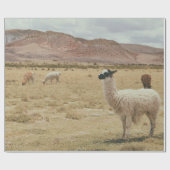 PAPIER CADEAU LAMA BLANC EN GRASS BROWN (Plat)