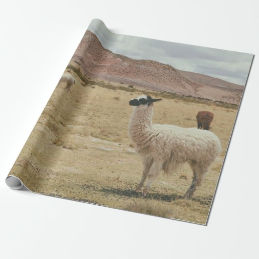 PAPIER CADEAU LAMA BLANC EN GRASS BROWN (Déroulé)
