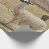 PAPIER CADEAU LAMA BLANC EN GRASS BROWN (Coin)