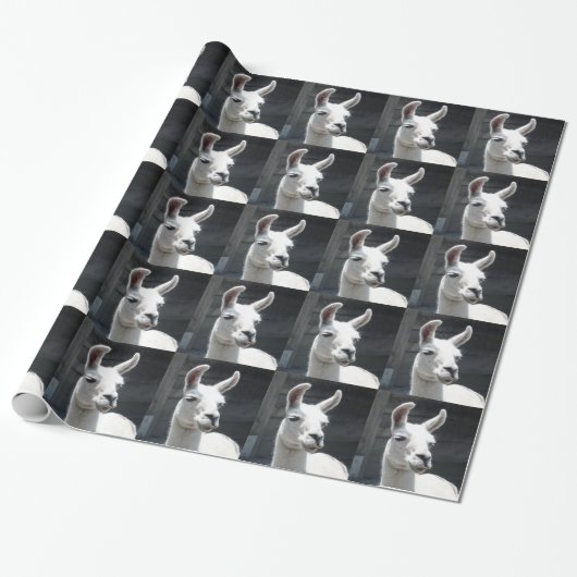 Papier cadeau lama souriant (Déroulé)