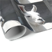 Papier cadeau lama souriant (Coin rond)