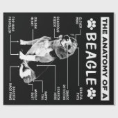 Papier Cadeau L'Anatomie D'Un Chien Beagle (Plat)