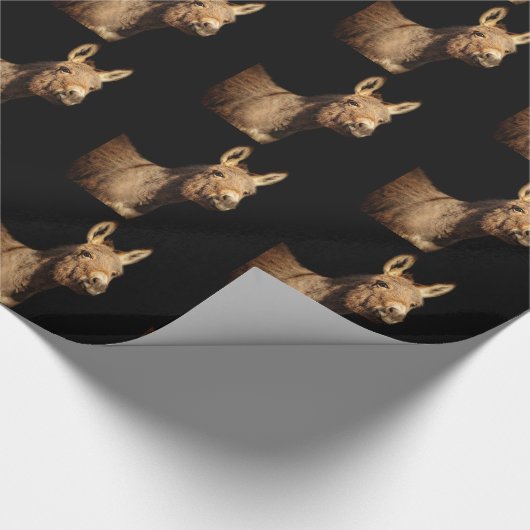 Papier Cadeau L'âne (Coin)