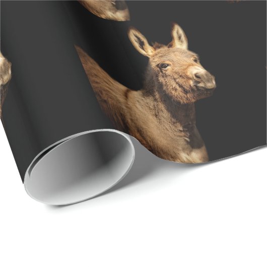 Papier Cadeau L'âne (Coin rond)