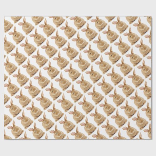 Papier Cadeau Lapin (Plat)