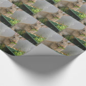 Papier Cadeau Lapin (Coin)