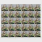 Papier Cadeau Lapin (Plat)