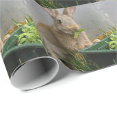 Papier Cadeau Lapin (Coin rond)