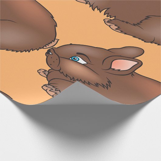 Papier Cadeau Lapin Brown