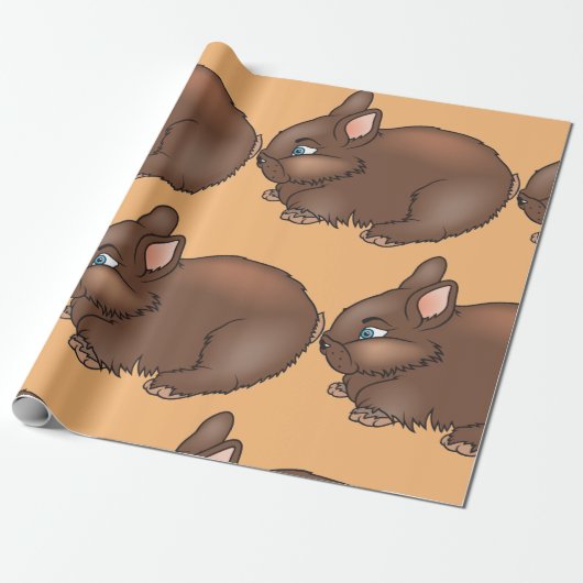 Papier Cadeau Lapin Brown (Déroulé)