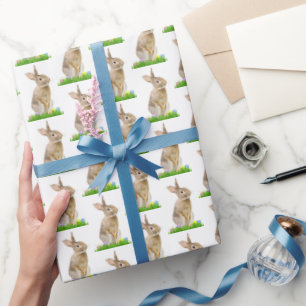 Papier Cadeau Lapin de Pâques et oeufs sur blanc
