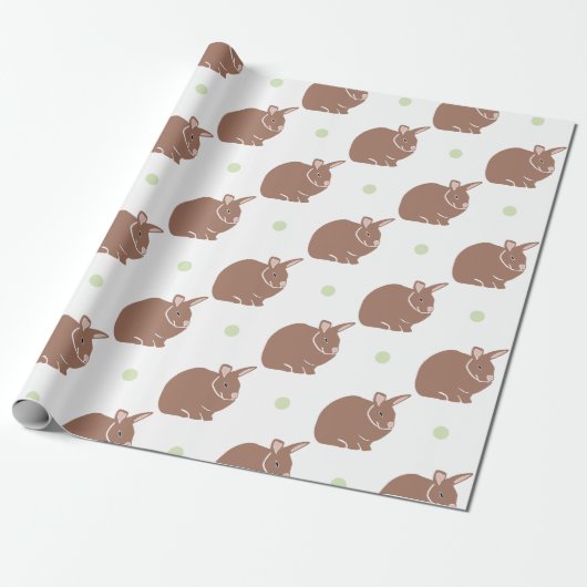Papier Cadeau Lapin Lapin (Déroulé)
