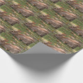 Papier Cadeau Lapin mignon (Coin)