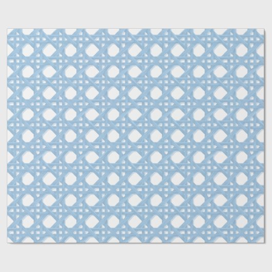 PAPIER CADEAU LARGE SALLY CANING IN A1C8E5 AND WHITE (Plat)