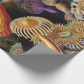 Papier Cadeau L'art de la nature par Ernst Haeckel (Coin)