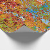 Papier Cadeau L'automne laisse le ciel bleu orangé d'automne col (Coin)