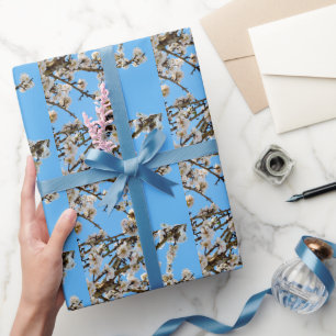 Papier Cadeau L'avènement du printemps : Les fleurs blanches con