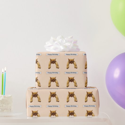 Papier Cadeau Lazy Cant Be Bothered Fluffy Ginger Chat, Annivers (Cadeaux de fête)