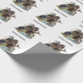 Papier Cadeau Le Boykin Spaniel (Coin)