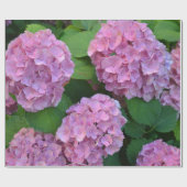 Papier Cadeau Le buisson d'hortensia rose (Plat)