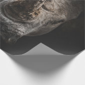 PAPIER CADEAU LE GÉANT EN DANGER (Coin)