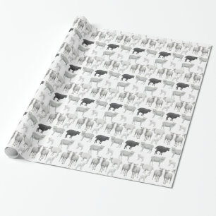 Papier Cadeau Le mouton noir ose être un autre enveloppement cad