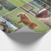 Papier Cadeau Le papier d'emballage de l'amant de cheval (Coin)