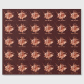 Papier Cadeau Le poisson-Lion (Plat)