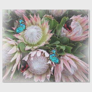 Papier Cadeau Le roi Protea