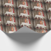 Papier Cadeau Le roi Valemon porte la princesse (Coin)