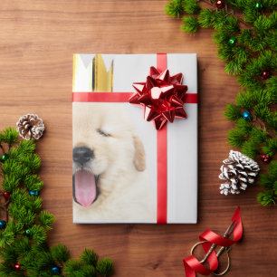 Papier Cadeau Le Rupture d'Or, un chiot à la couronne