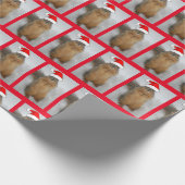 Papier Cadeau L'écureuil de Noël avec Père Noël (Coin)