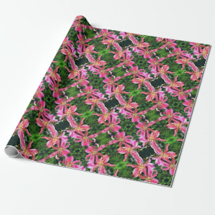 Papier Cadeau Lentilles roses pour enveloppes cadeaux