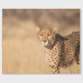 PAPIER CADEAU LEOPARD PORTRAIT (Plat)