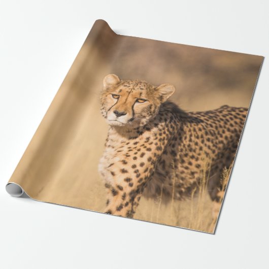 PAPIER CADEAU LEOPARD PORTRAIT (Déroulé)