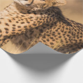 PAPIER CADEAU LEOPARD PORTRAIT (Coin)