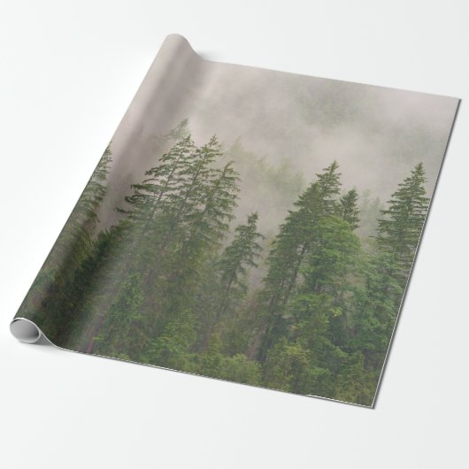 Papier Cadeau Les arbres de la forêt de Foggy (Déroulé)