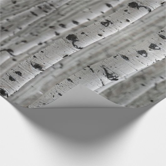 Papier Cadeau Les bouleaux (Coin)