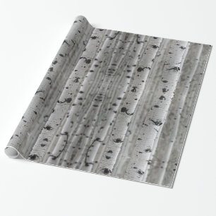 Papier Cadeau Les bouleaux