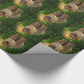 Papier Cadeau Les cadeaux de Sloth Rainforest (Coin)