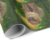 Papier Cadeau Les cadeaux de Sloth Rainforest (Coin rond)