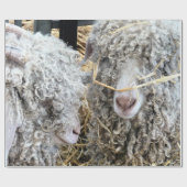 PAPIER CADEAU LES CHÈTES FRAÎCHES (Plat)