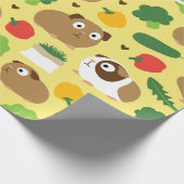 Papier Cadeau Les Cochons De Guinée Et Leurs Traitements (Coin)