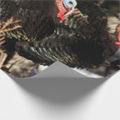 Papier Cadeau Les dindes sauvages Thanksgiving (Coin)