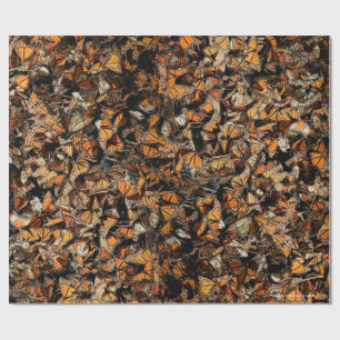 Papier Cadeau Les papillons monarques