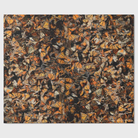 Papier Cadeau Les papillons monarques (Plat)