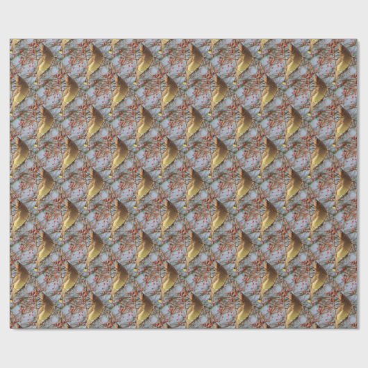 Papier Cadeau Les Patters de Cedar (Plat)