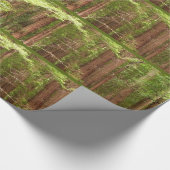 Papier Cadeau Les séquoias au monument national de Muir Woods (Coin)