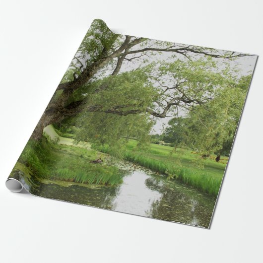 Papier Cadeau Les verts de grand pré (Déroulé)